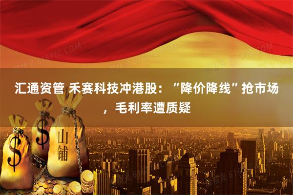 汇通资管 禾赛科技冲港股：“降价降线”抢市场，毛利率遭质疑