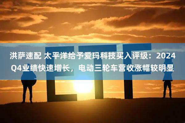 洪萨速配 太平洋给予爱玛科技买入评级：2024Q4业绩快速增长，电动三轮车营收涨幅较明显