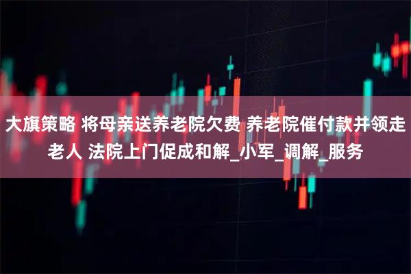 大旗策略 将母亲送养老院欠费 养老院催付款并领走老人 法院上门促成和解_小军_调解_服务