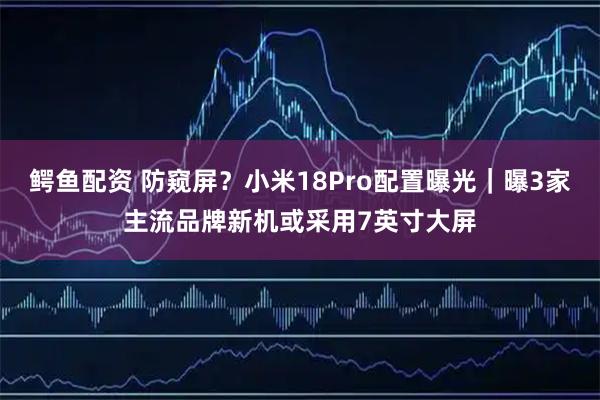鳄鱼配资 防窥屏？小米18Pro配置曝光｜曝3家主流品牌新机或采用7英寸大屏